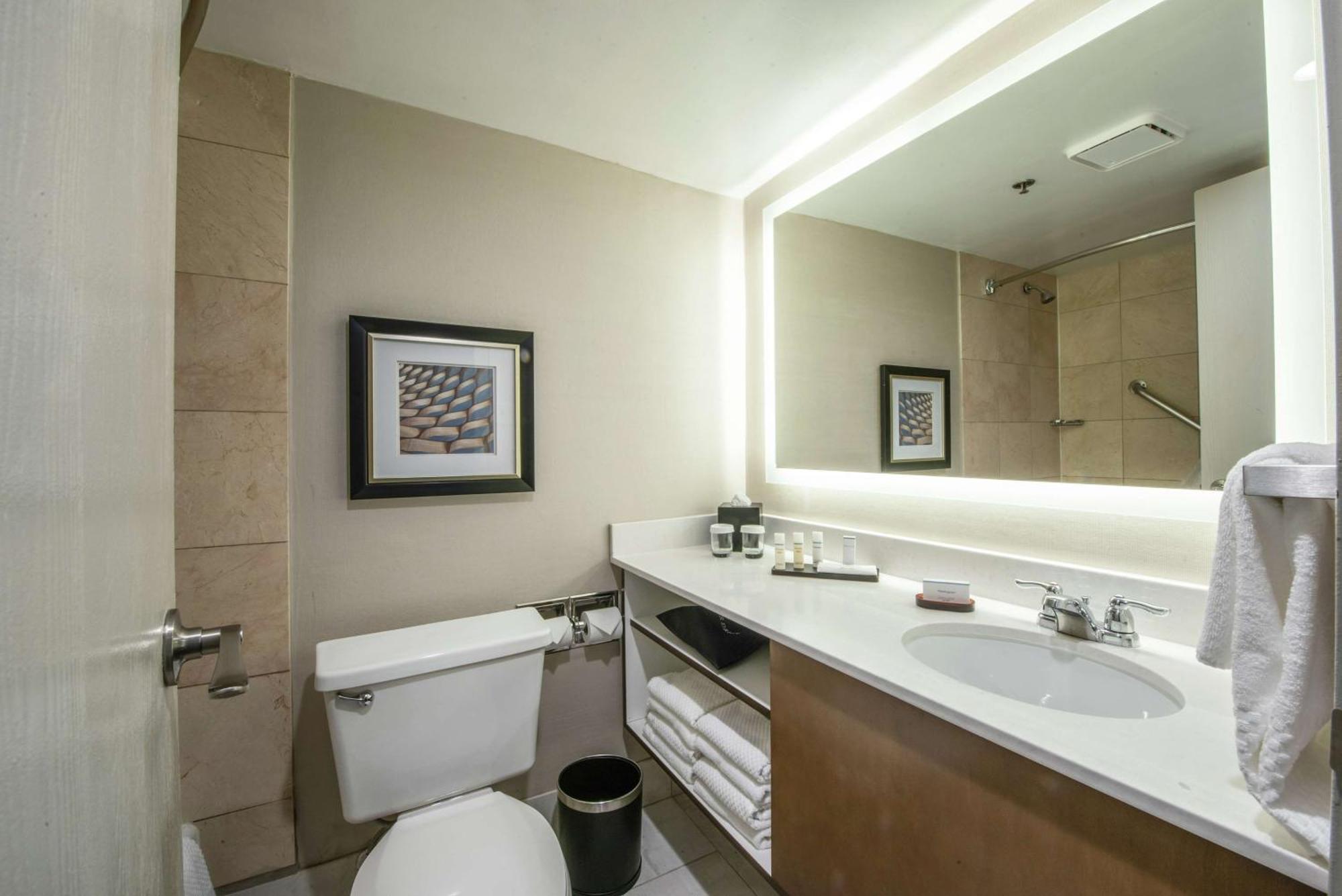 Embassy Suites By Hilton Chicago Schaumburg Woodfield Luaran gambar